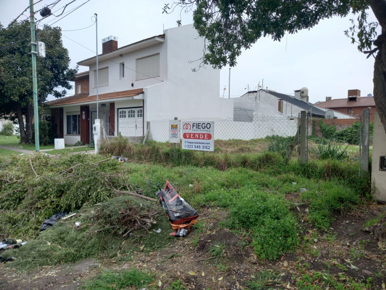 Lote Lopez y Planes y Aguirre